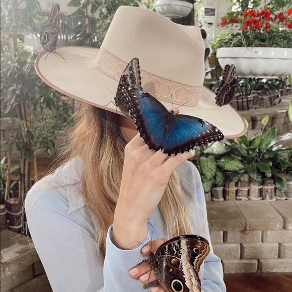 Lack of Color Ivory Rancher Special Edition NWT - Picture 14 of 17